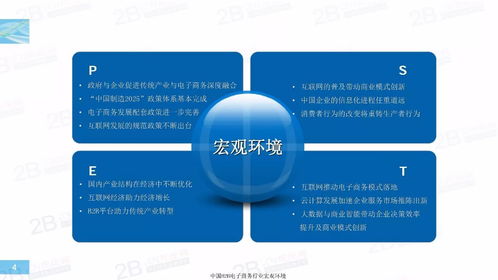 重磅 2017年中国b2b 行业发展报告